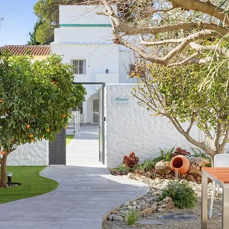 Mamba By Seric,15' Walking To The 토레몰리노스