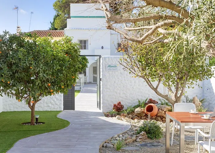 Mamba By Seric,15' Walking To The Torremolinos